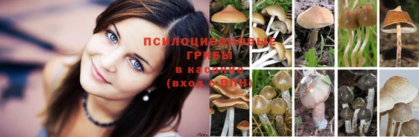 гашишное масло Белокуриха