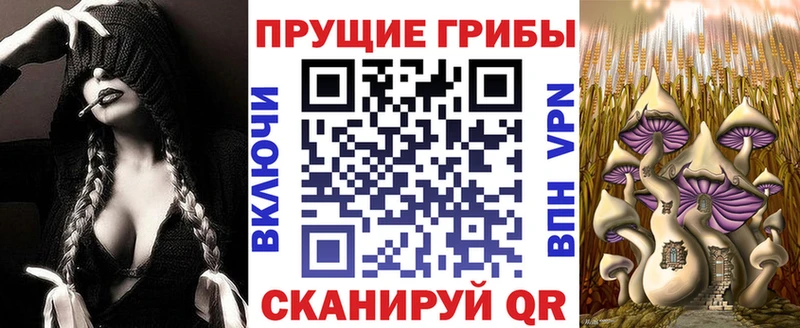 что такое   Нарткала  Псилоцибиновые грибы MAGIC MUSHROOMS 